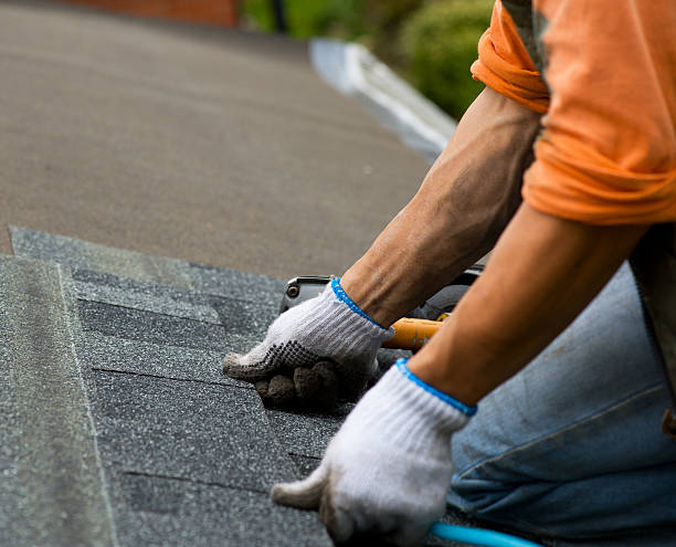 Best Flat Roof Repair Services  in Gardner, KS